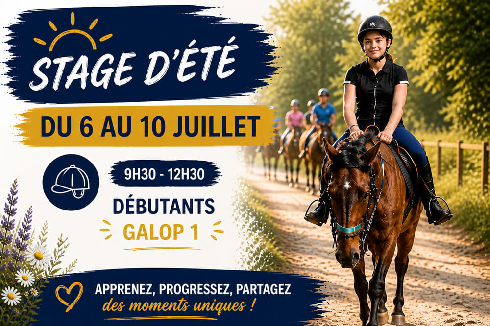 Stage d'équitation - Débutants