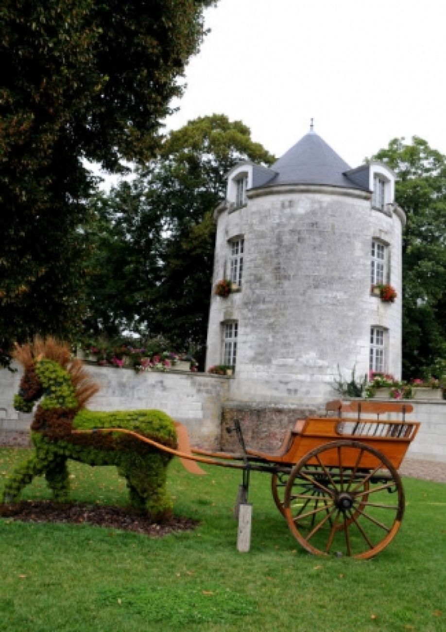 La Plaine Champenoise, Mailly-le-Camp - photo 4