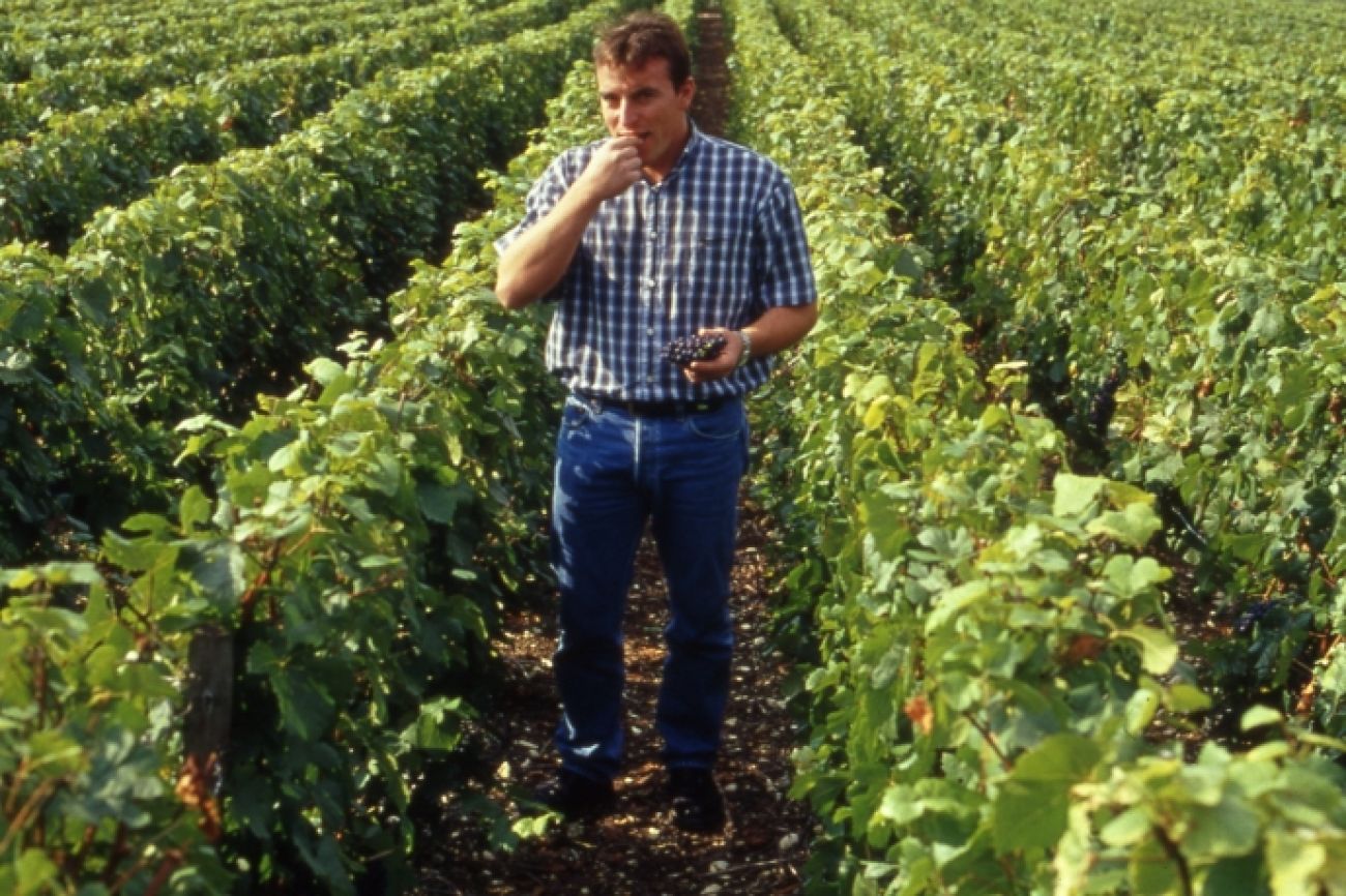 Le Circuit du Roi des Vins, Mussy-sur-Seine - photo 10