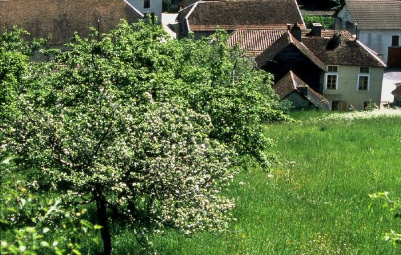 Sur la Route des Cisterciens, Bar-sur-Aube - photo 2