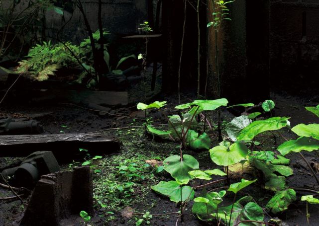 Sorties Nature