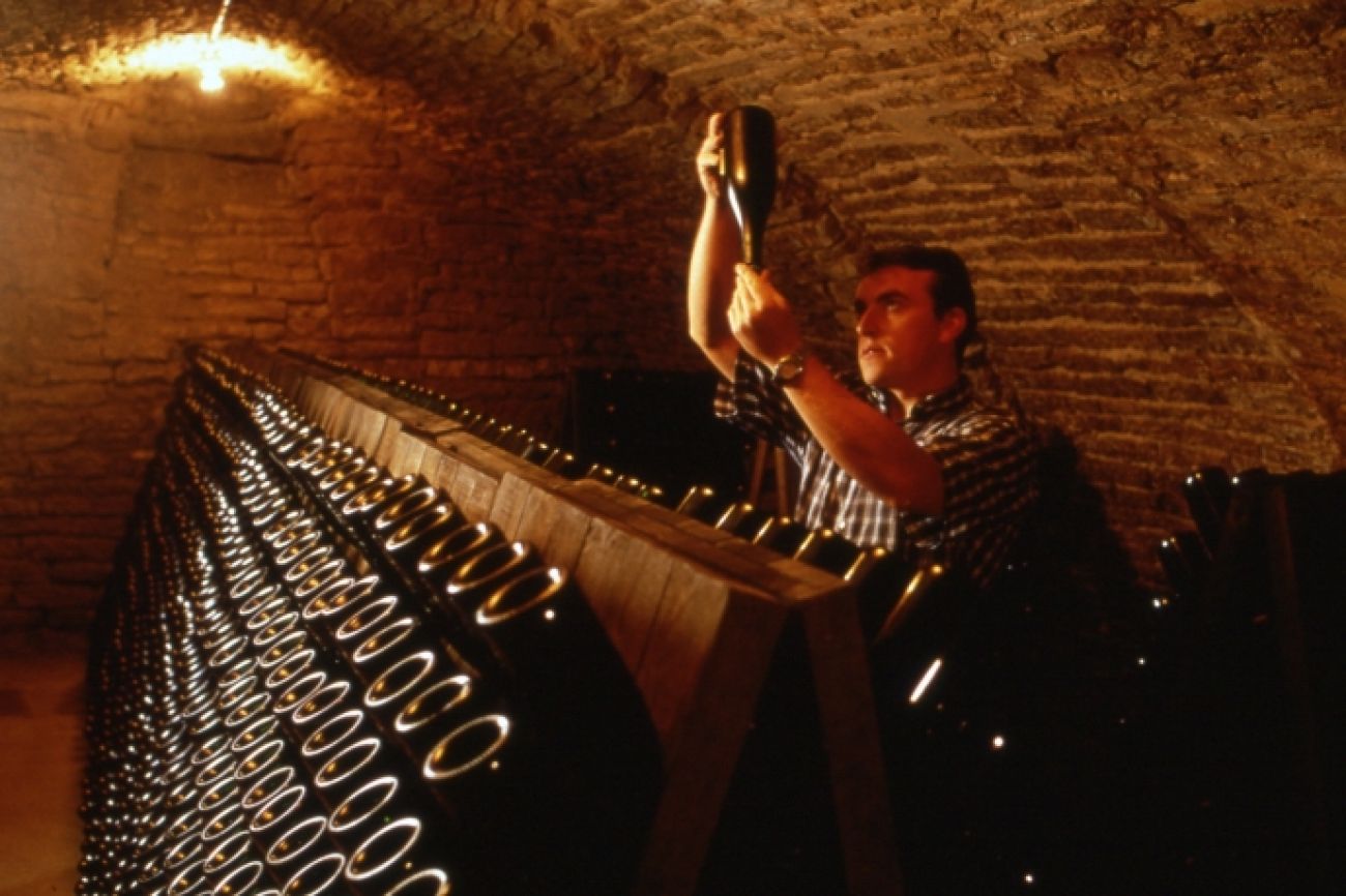 Le Circuit du Roi des Vins, Mussy-sur-Seine - photo 11