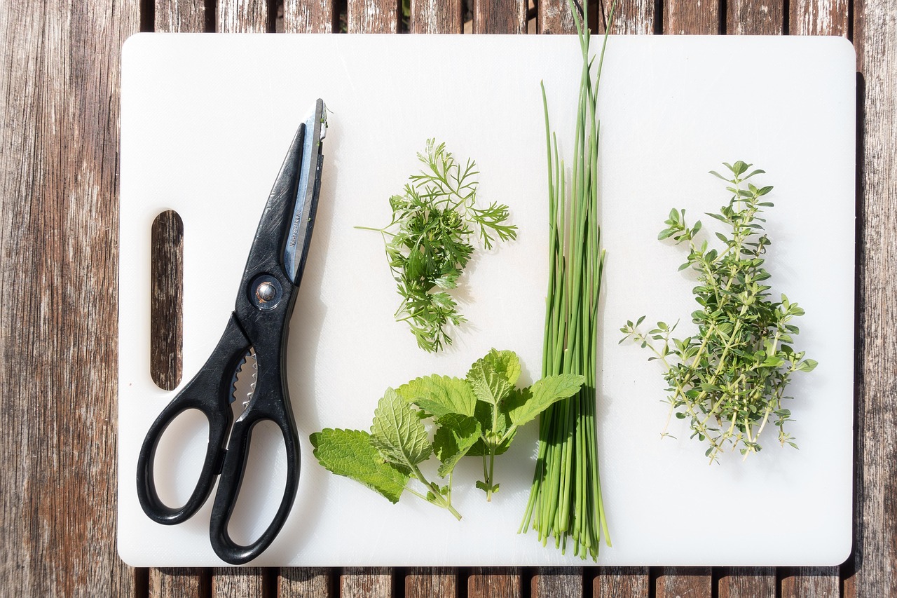Cuisine des plantes sauvages