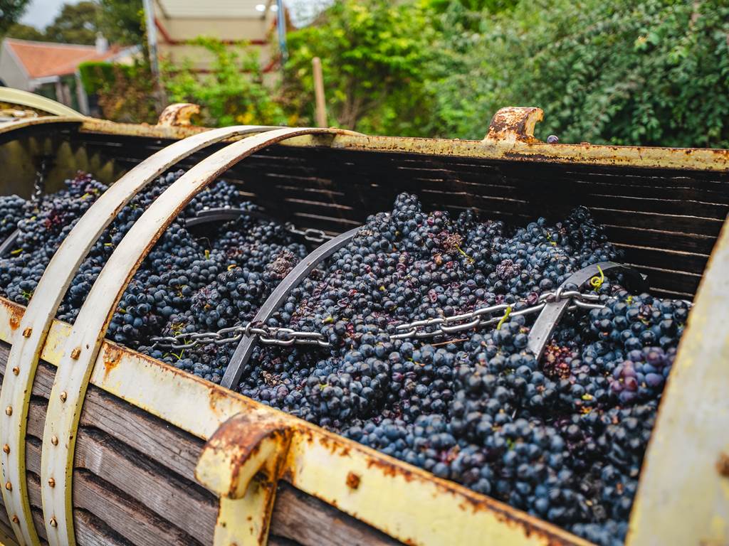 Domaine D'Apronie, Saint-Flavy - photo 3