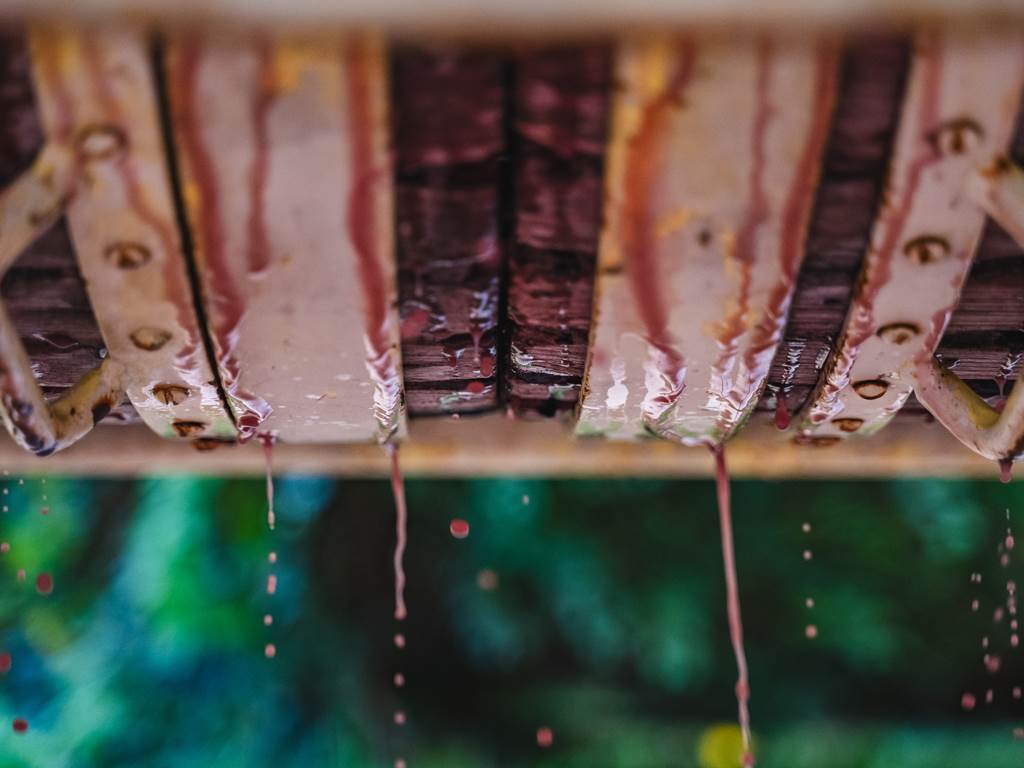 Domaine D'Apronie, Saint-Flavy - photo 9