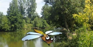 Sorties Nature