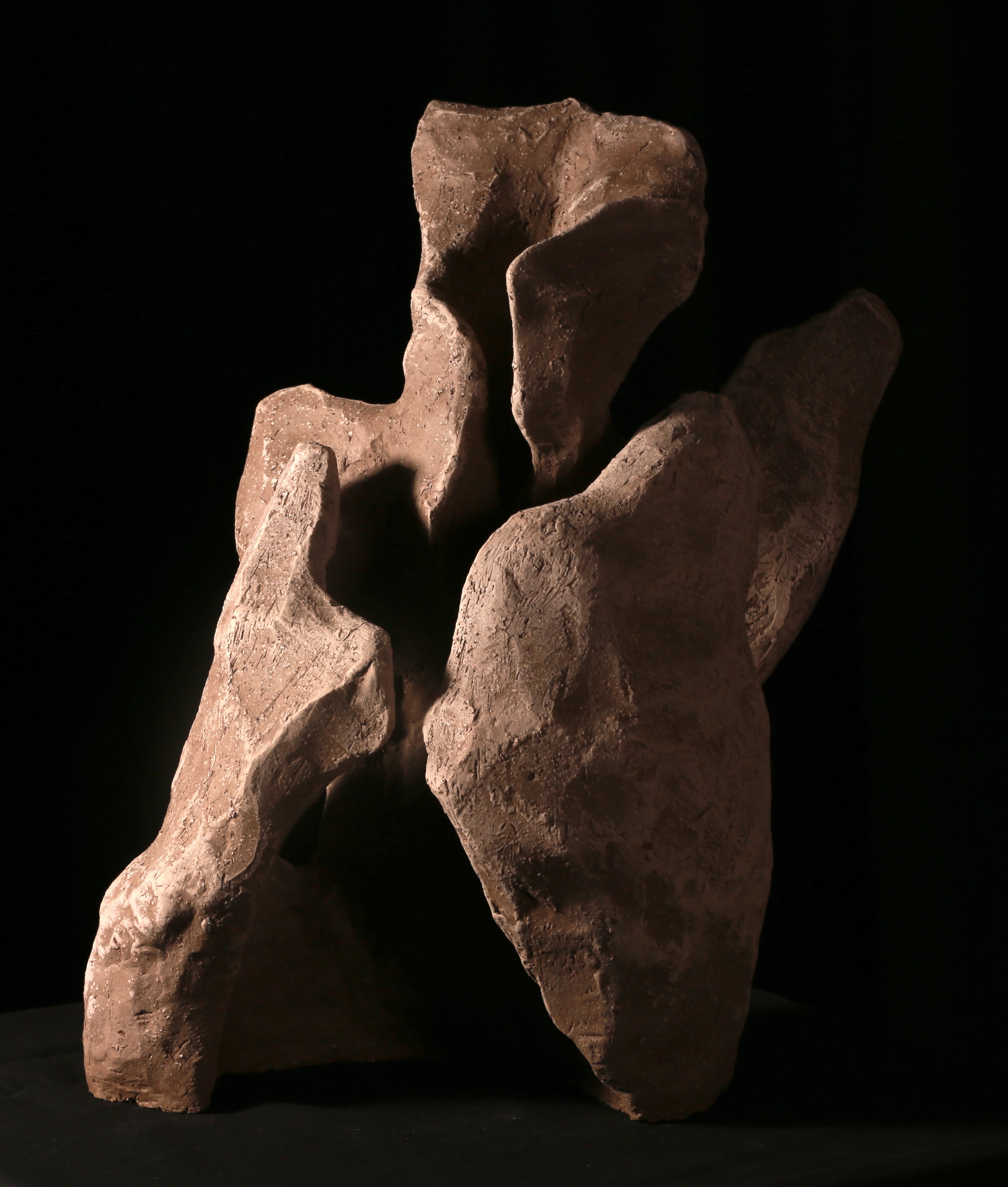 Découverte d'exposition