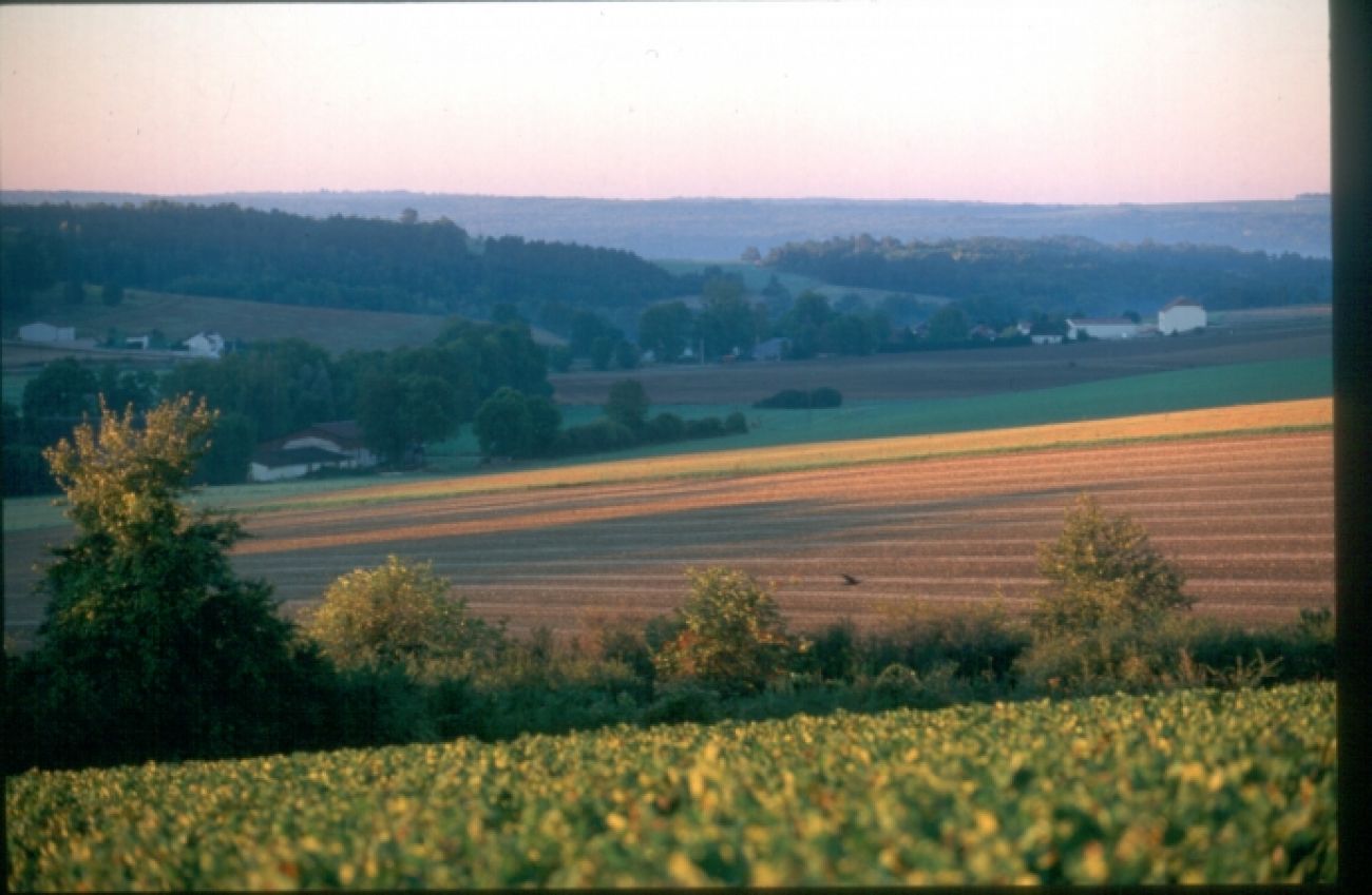 GRP tour de Champagne de la vallée de l'Ource, Essoyes - photo 13