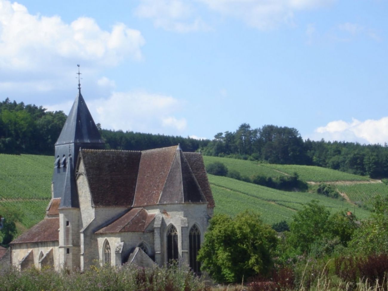 GR 654 Sentier Saint-Jacques-de-Compostelle: la Voie de Vézelay, Bailly-le-Franc - photo 27