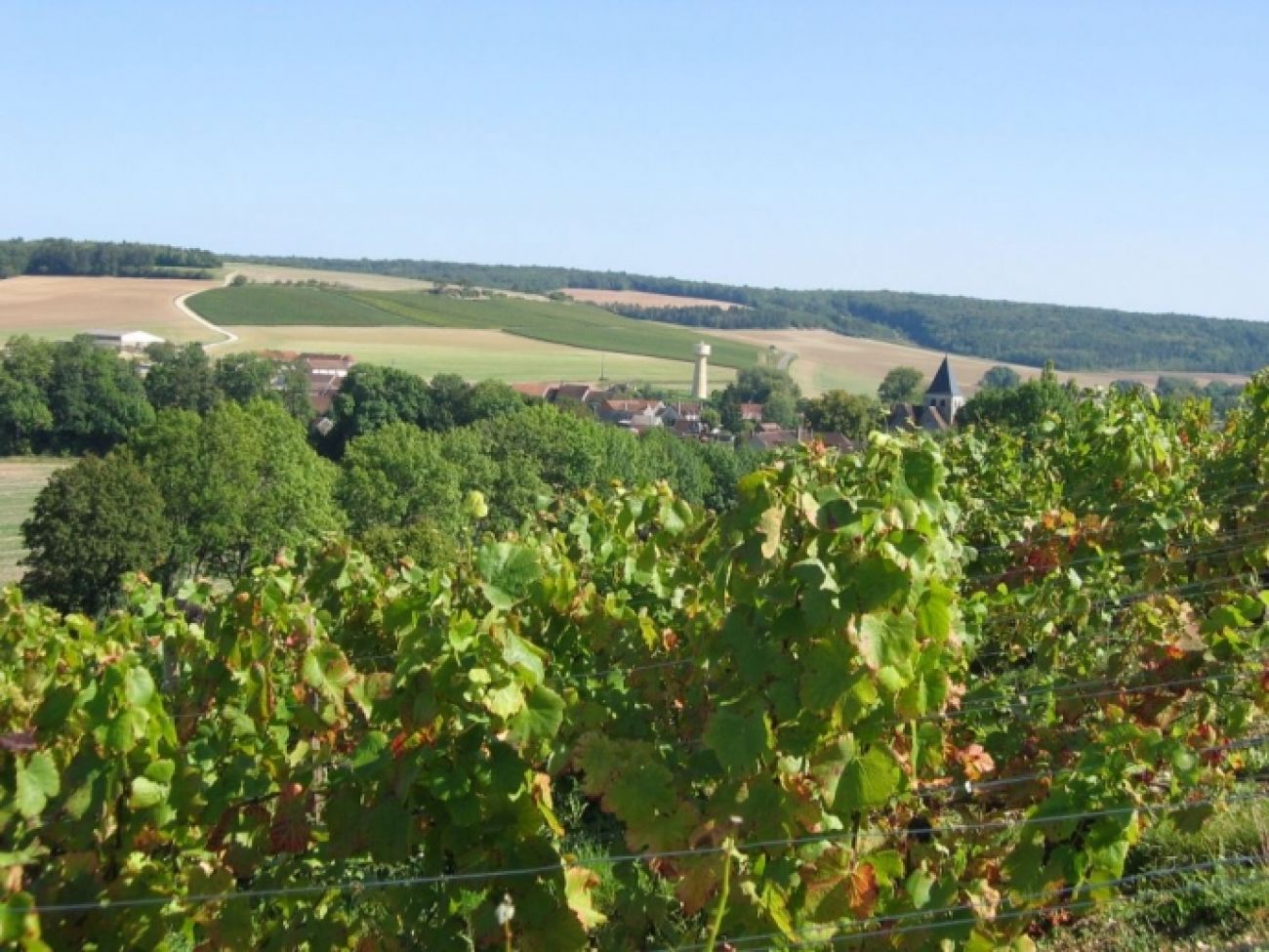 GR 654 Sentier Saint-Jacques-de-Compostelle: la Voie de Vézelay, Bailly-le-Franc - photo 39