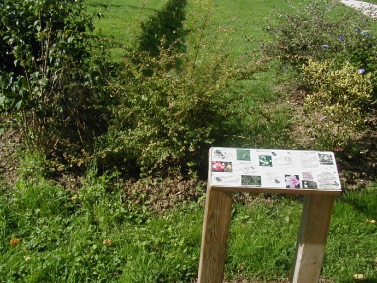 Promenade de la Dhuys, Soulaines-Dhuys - photo 8