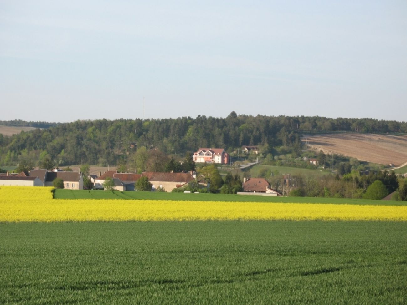 Le sentier, Essoyes - photo 3