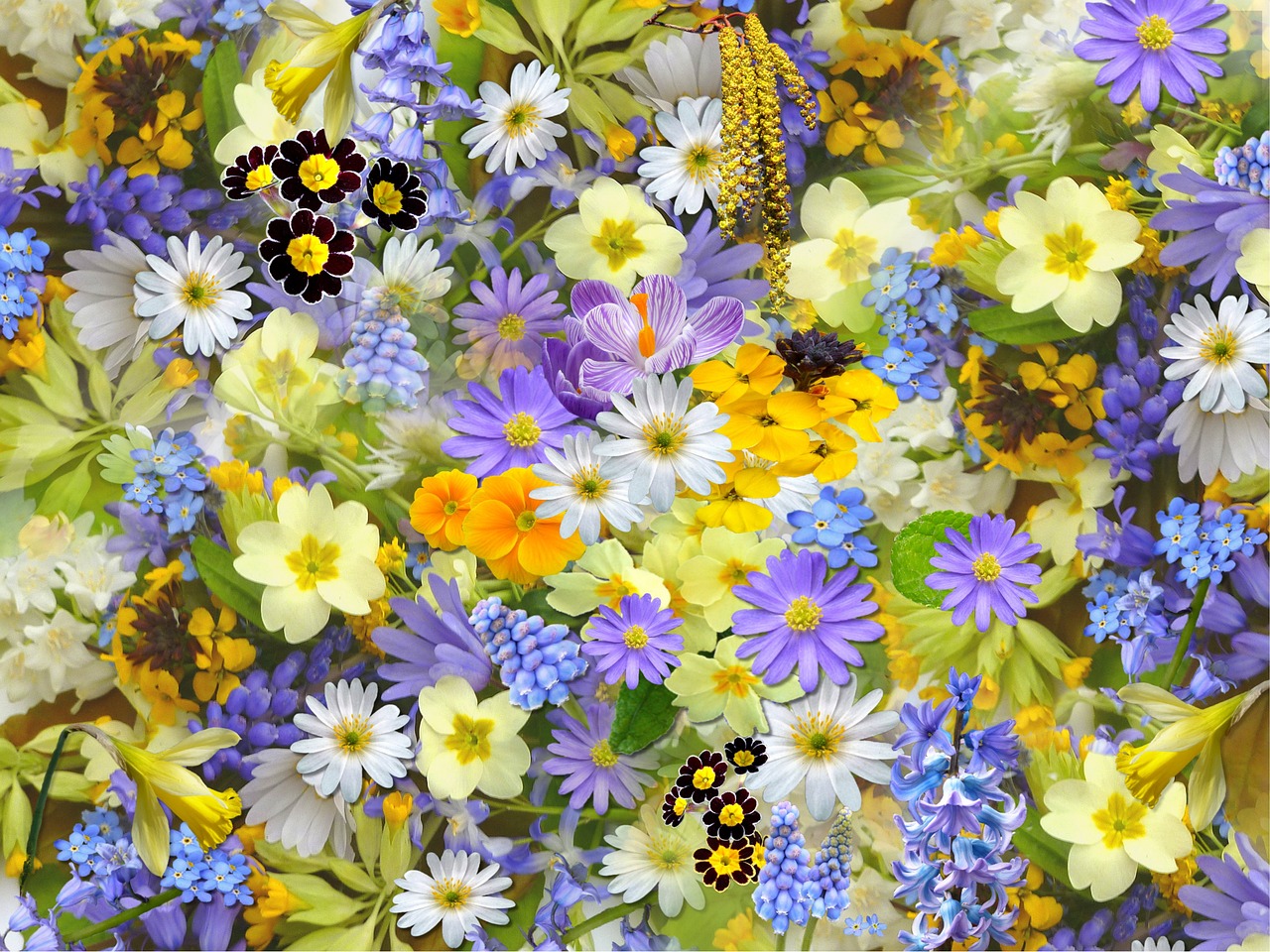 Danse libre "A fleur de peau" — visuel événement