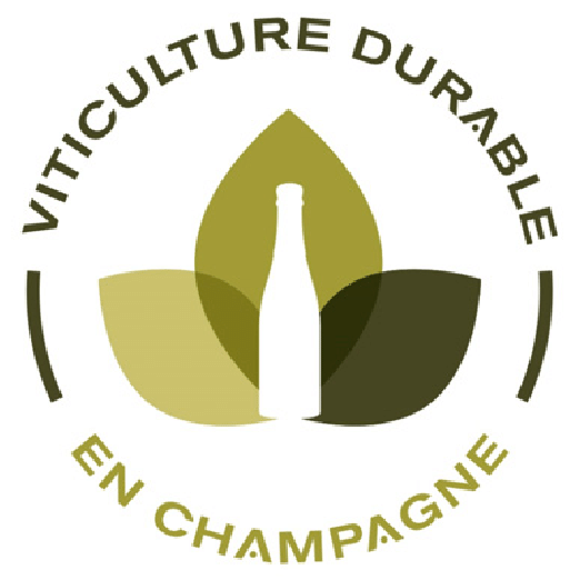 Viticulture durable en Champagne