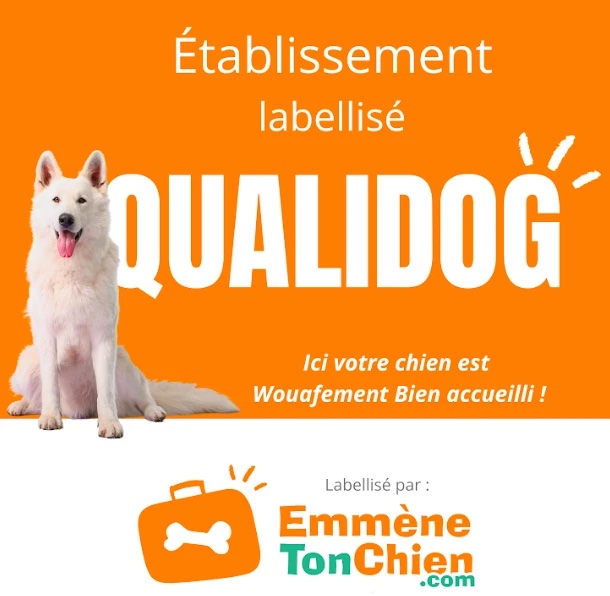 Qualidog