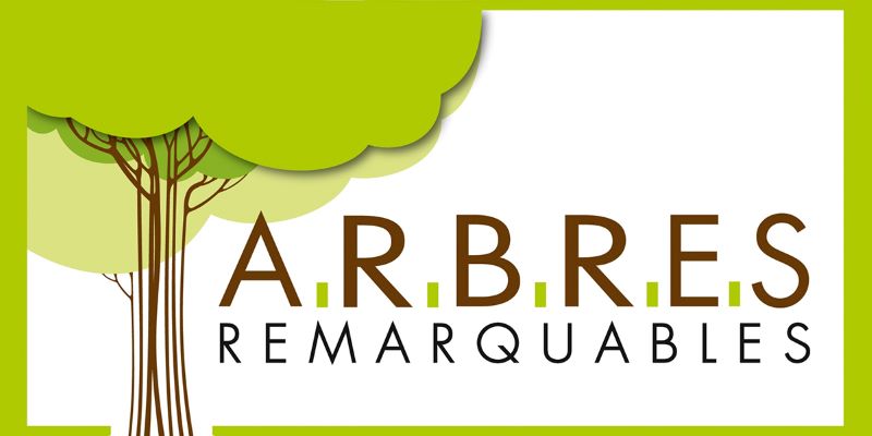 Ensemble arboré remarquable